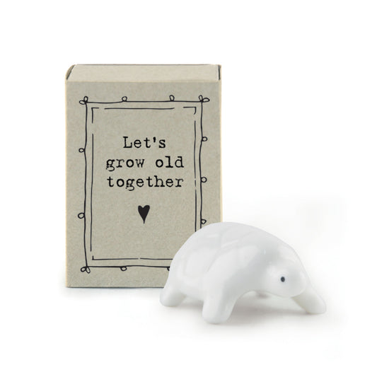 East of India Matchbox Tortoise