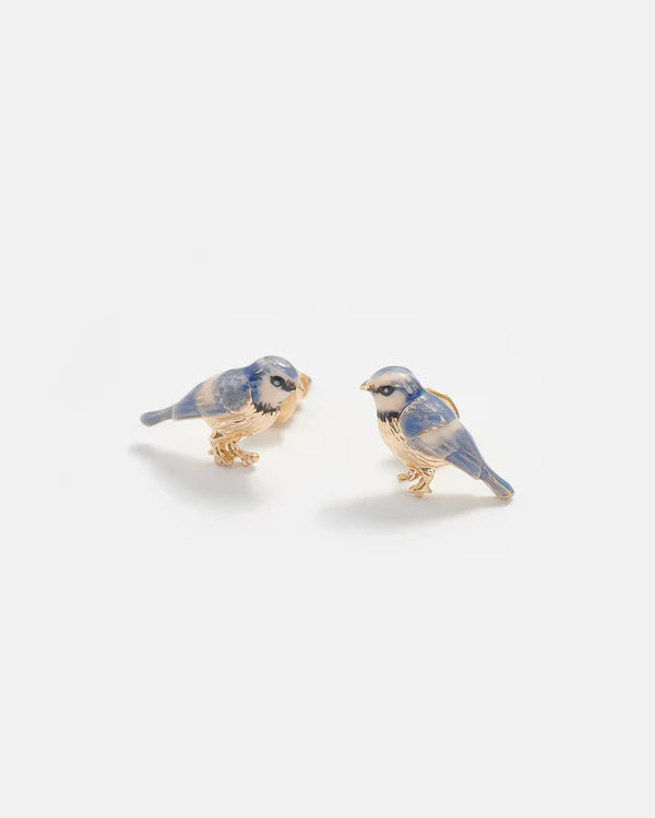 Blue Tit Stud Earrings